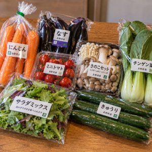 Vegetable Bundle
